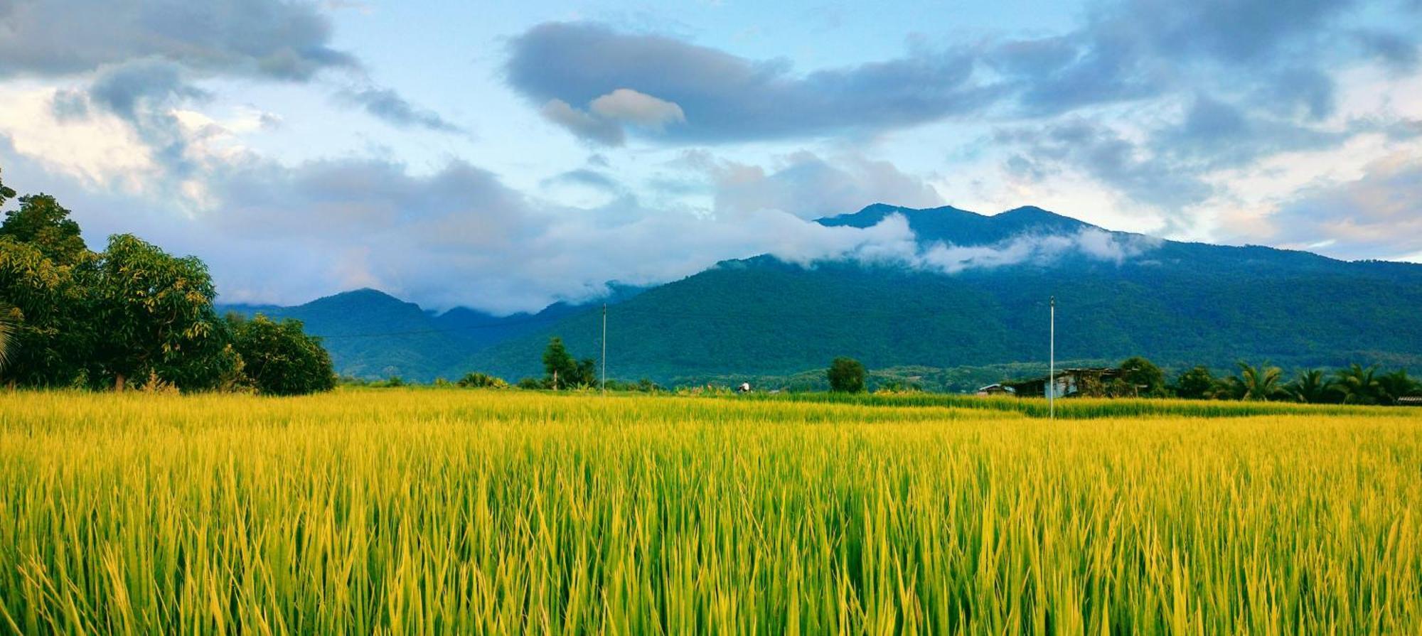 Poonsap Homestay Нан Екстер'єр фото