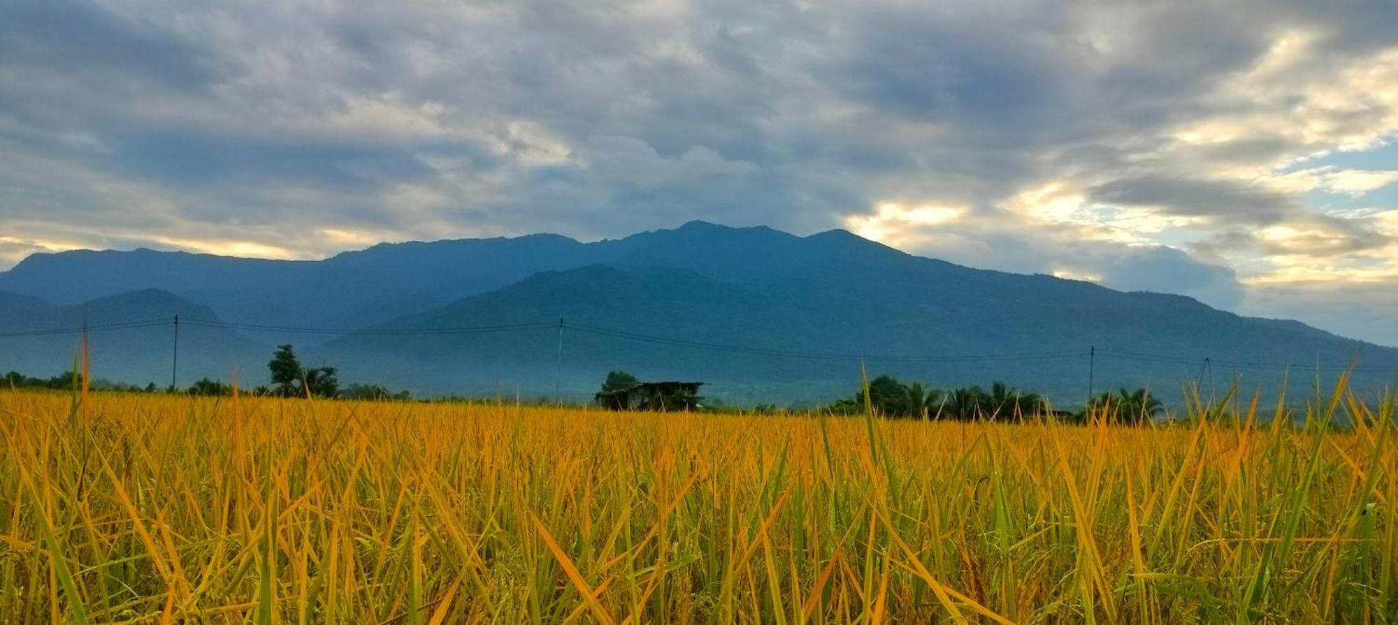 Poonsap Homestay Нан Екстер'єр фото